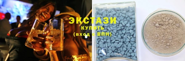 спиды Ельня