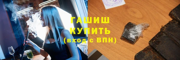 спиды Ельня