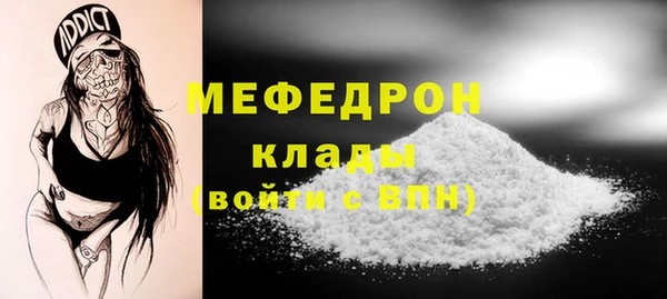 спиды Ельня