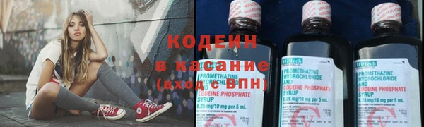 соль ск Елизово
