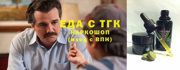 спиды Ельня