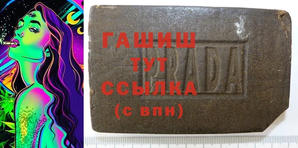 спиды Ельня