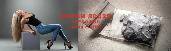 спиды Ельня