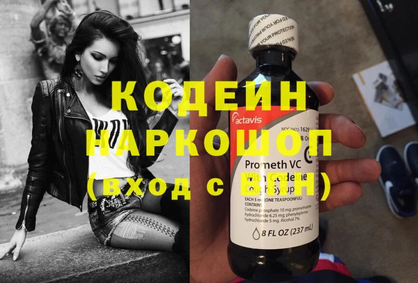 спиды Ельня