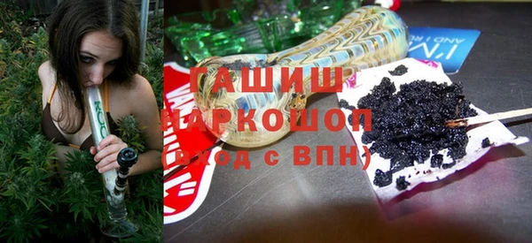 спиды Ельня