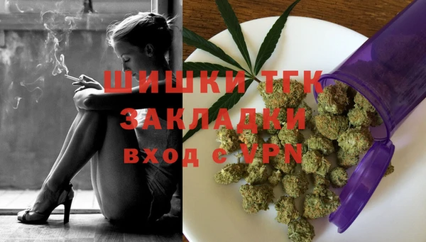 соль ск Елизово