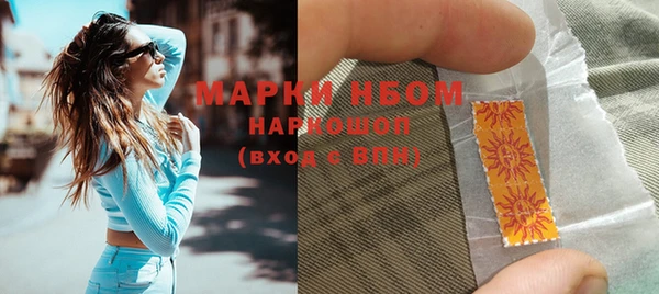 спиды Ельня