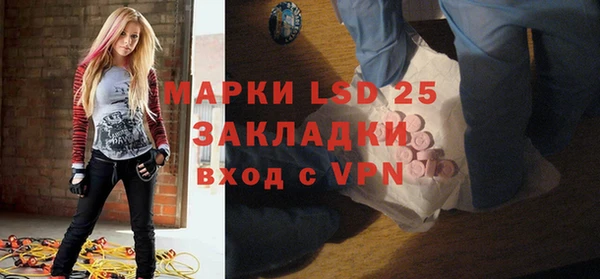 спиды Ельня