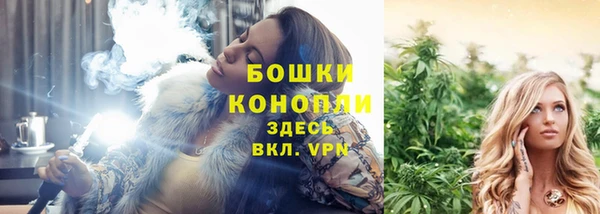 соль ск Елизово