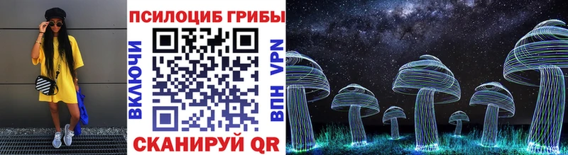 Галлюциногенные грибы Psilocybine cubensis Лесосибирск